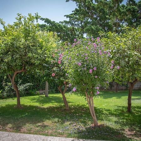 Piso Con Jardin Apartman Málaga Kültér fotó