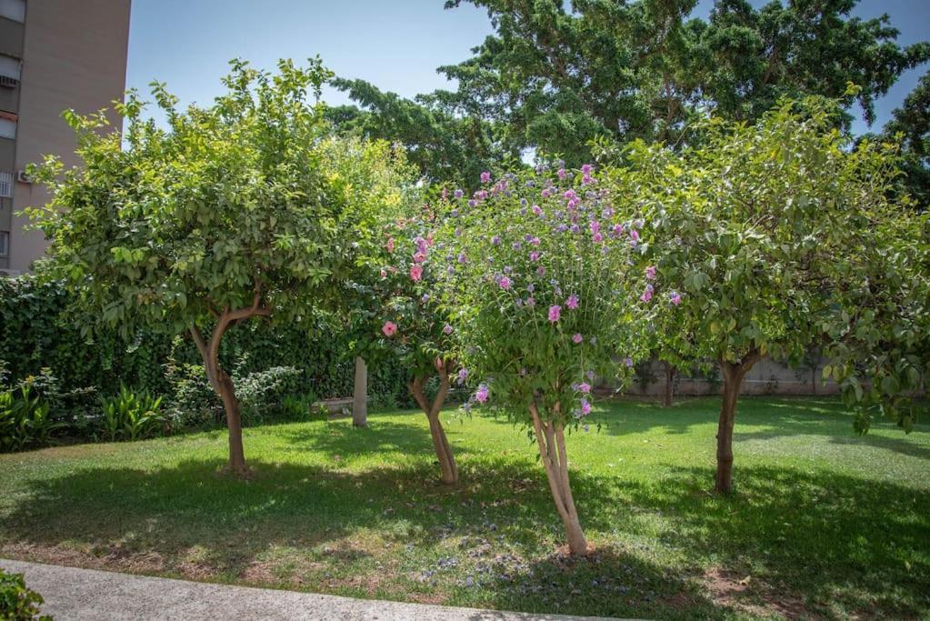 Piso Con Jardin Apartman Málaga Kültér fotó